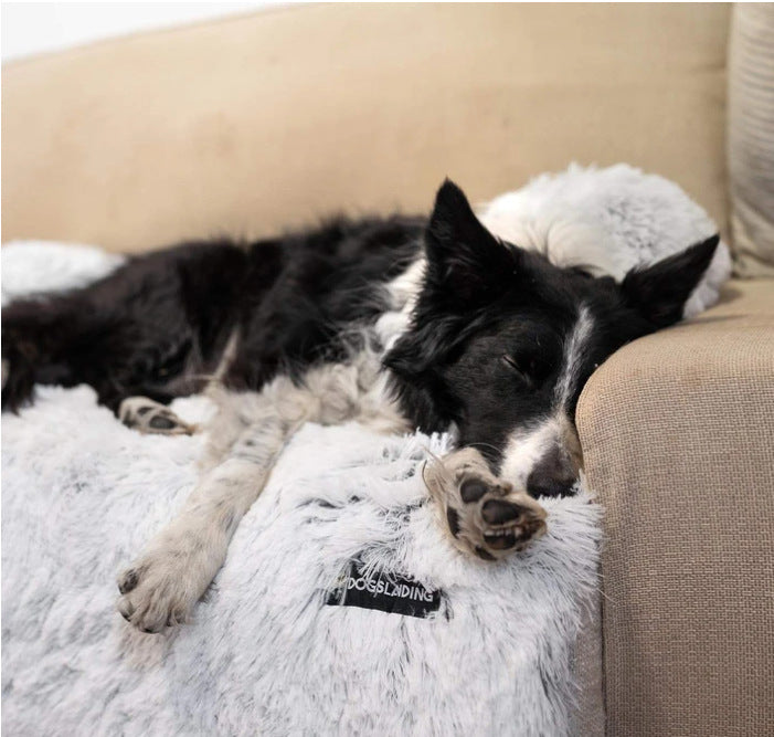 Panier Douillet pour Chien et Chat – Coussin Lavable et Confortable