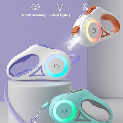 Laisse et Collier Automatiques pour Chiens et Chats – Traction et Spotlight