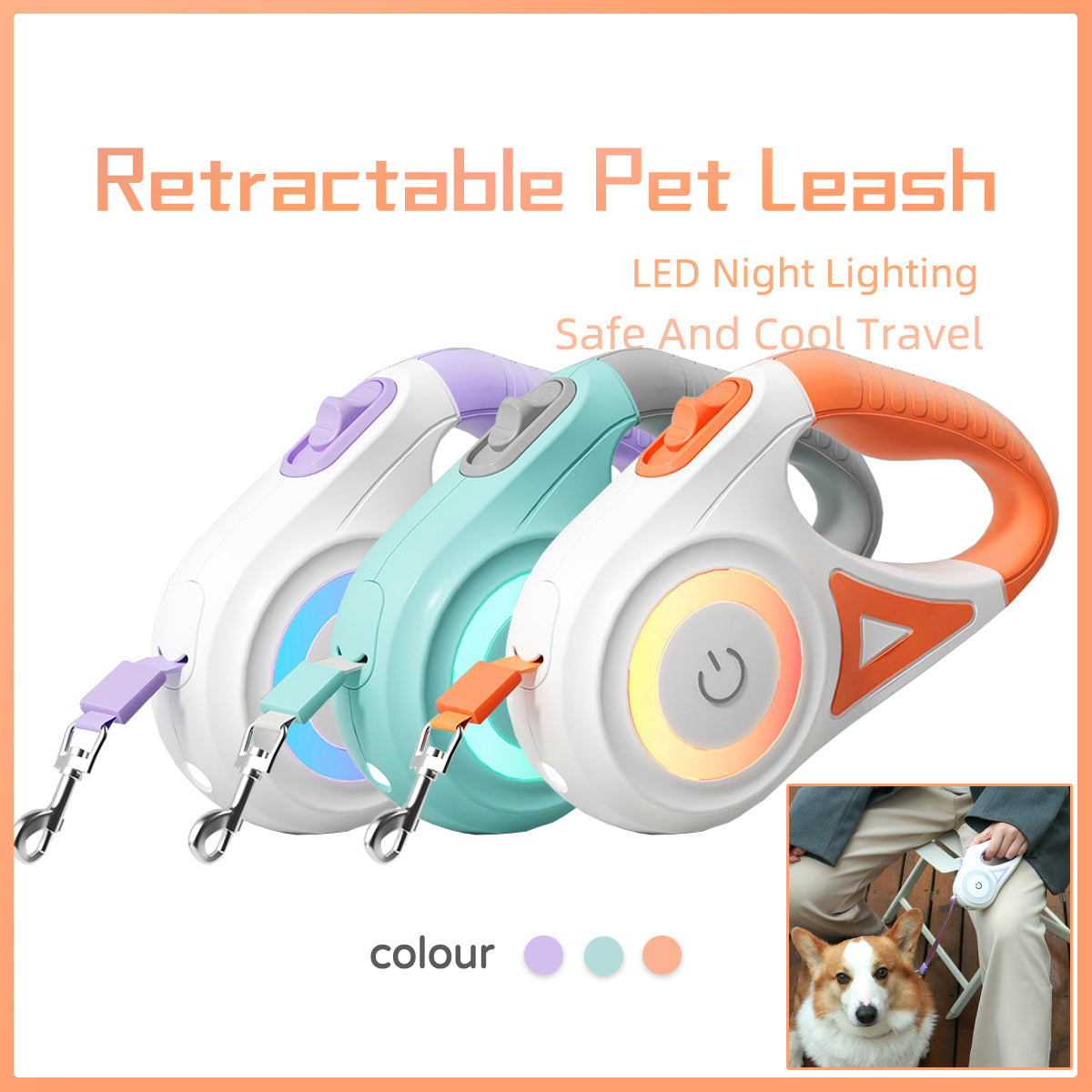 Laisse et Collier Automatiques pour Chiens et Chats – Traction et Spotlight