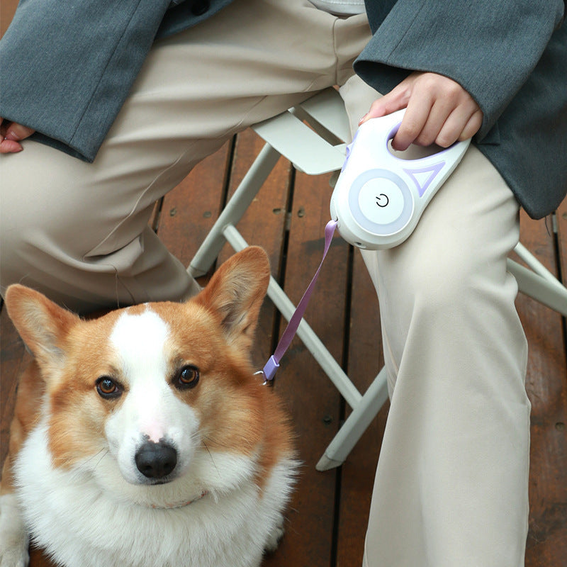 Laisse et Collier Automatiques pour Chiens et Chats – Traction et Spotlight