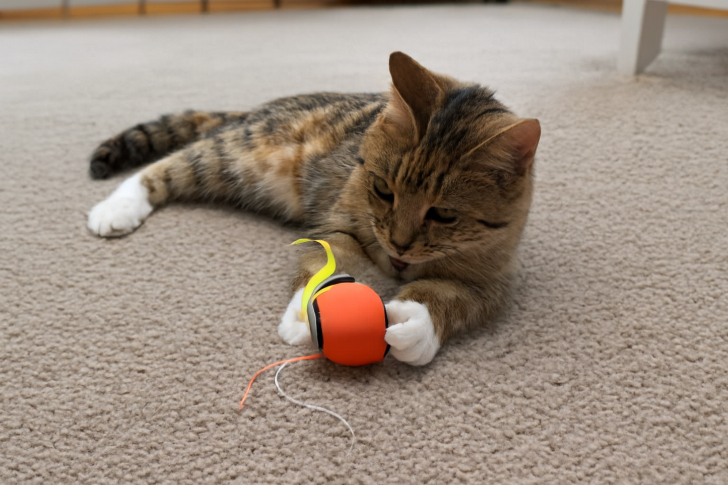 Balle Électronique Rechargeable pour Chat – Jeu Interactif & Amusement Infini