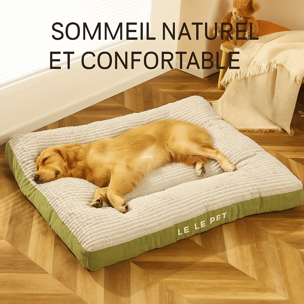 Panier Douillet pour Chien et Chat – Coussin & Couverture