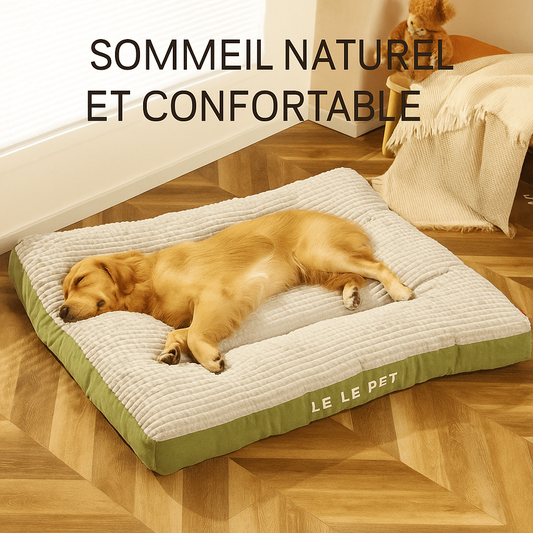 Panier Douillet pour Chien et Chat – Coussin & Couverture