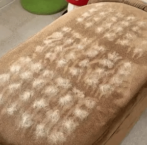 Gant de Toilettage pour Chiens et Chats – Brosse Douce Anti-Poils et Massage Relaxant 🐾