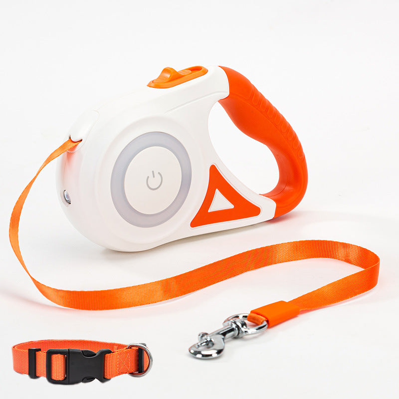 Laisse et Collier Automatiques pour Chiens et Chats – Traction et Spotlight