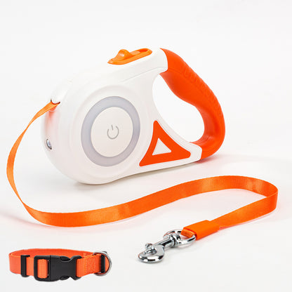 Laisse et Collier Automatiques pour Chiens et Chats – Traction et Spotlight