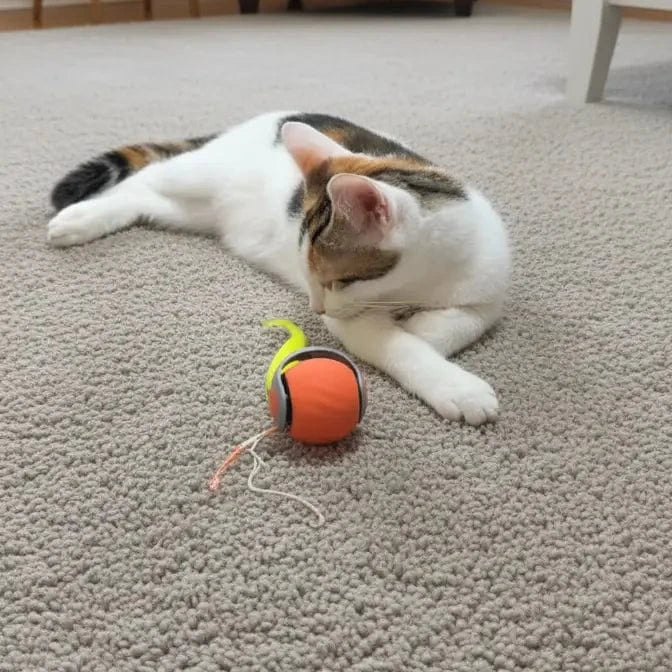 Balle Électronique Rechargeable pour Chat – Jeu Interactif & Amusement Infini